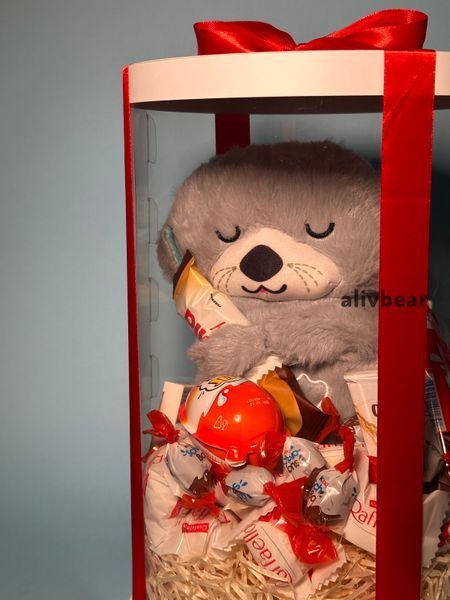 Подарунковий бокс (Додаток до дихаючого ведмедика)